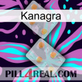 Kanagra 25